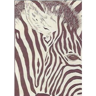 Taschenkalender 2019 - Zebra - Terminplaner mit Wochenkalendarium - Format 11,3 x 16,3 cm
