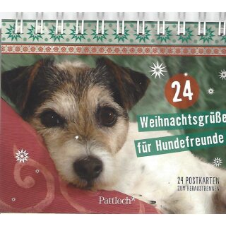 24 Weihnachtsgrüße für Hundefreunde: 24 Postkarten Mängelexemplar