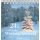 24 x zauberhafter Weihnachtswald: Adventskalender Spiralbindung Mängelexemplar