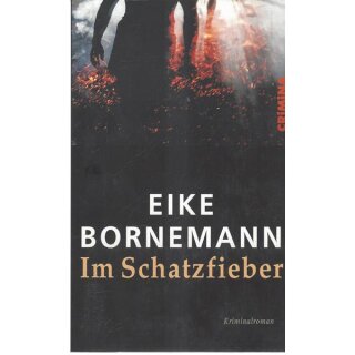 Im Schatzfieber Taschenbuch Mängelexemplar von Eike Bornemann