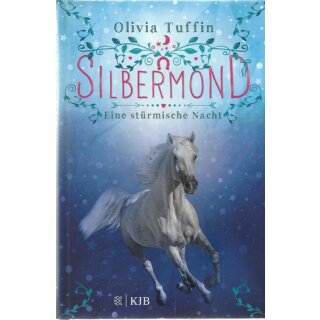 Silbermond: Eine stürmische Nacht Gb. Mängelexemplar von Olivia Tuffin