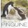 Die geheime Welt der Pinguine Geb. Ausg. von Christioph Kaula, Jessica Winter