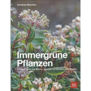Immergrüne Pflanzen Geb. Ausg. von Dorothée Waechter
