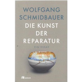 Die Kunst der Reparatur Broschiert Mängelexemplar von Wolfg. Schmidbauer