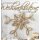 Wunderschöne Weihnachtssterne: Aus Perlen und Papier Geb. Ausg.von Ingrid Moras
