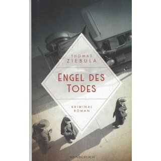 Engel des Todes: Historischer Leipzig-Krimi Gb.Mängelexemplar von Thomas Ziebula
