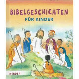 Bibelgeschichten für Kinder Geb. Ausg. Mängelexemplar von Sally Ann Wright